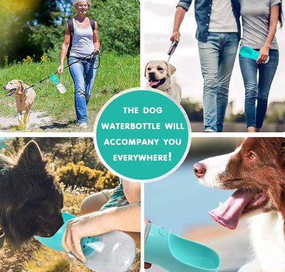 AquaPuPHaven™ Pet Water bottel