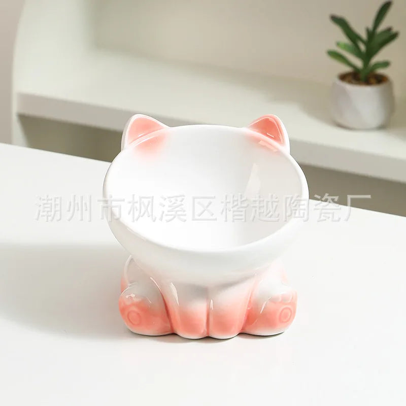 Ceramic Elevated Cat &amp; Dog Bowl