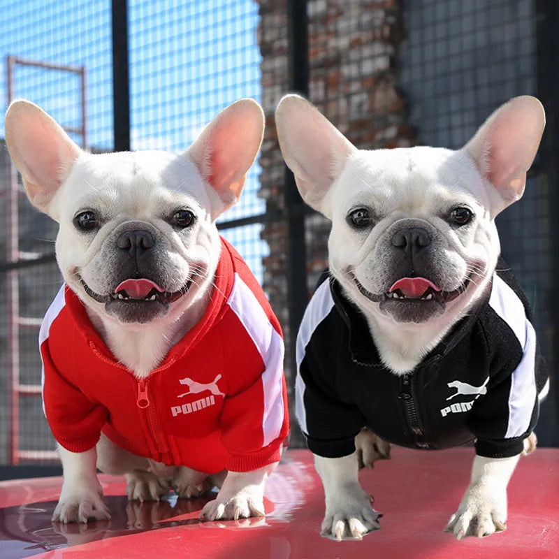 French Bulldog Sweatshirt and  Coat