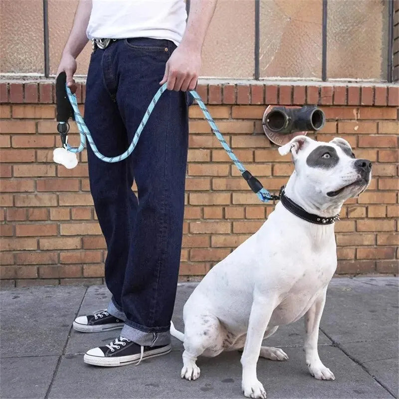 Reflective Dog Leash