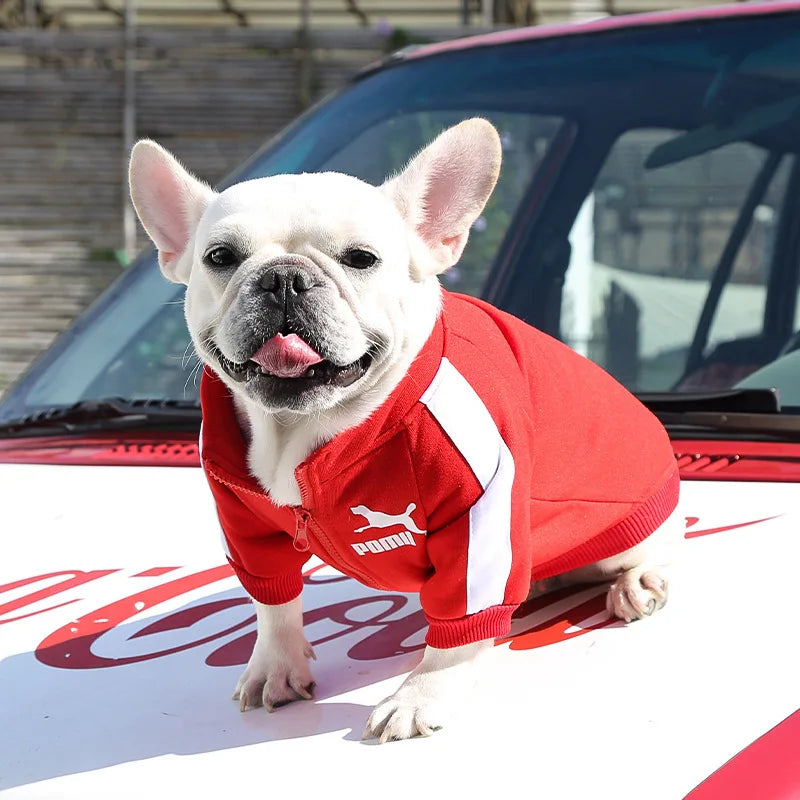 French Bulldog Sweatshirt and  Coat