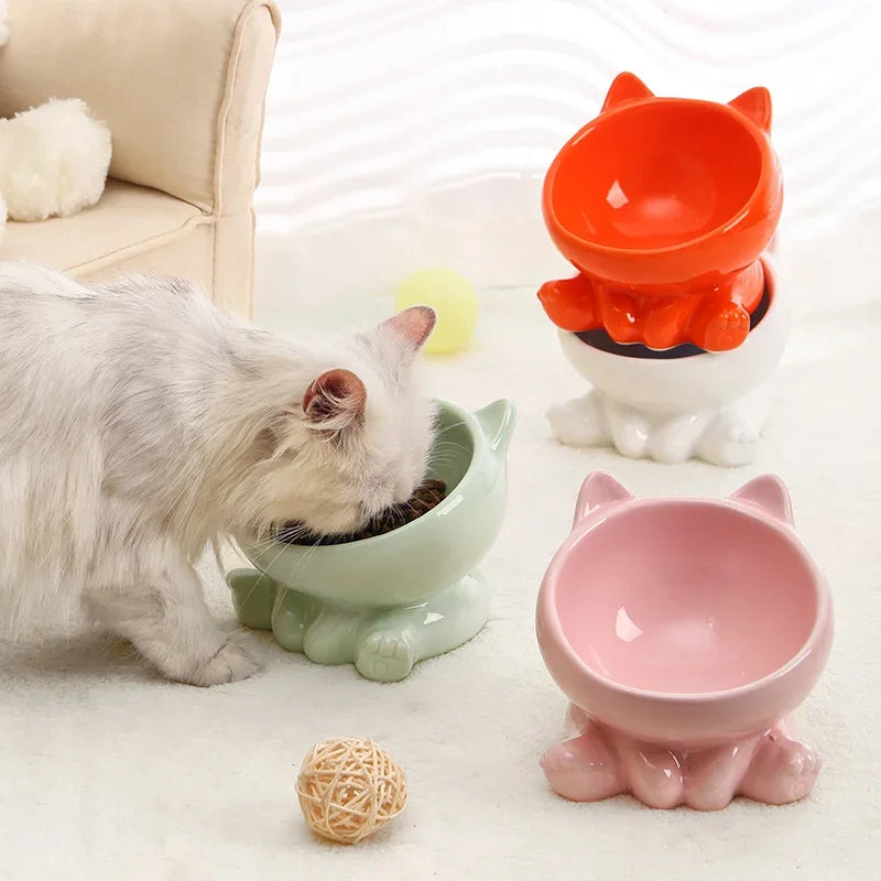 Ceramic Elevated Cat &amp; Dog Bowl