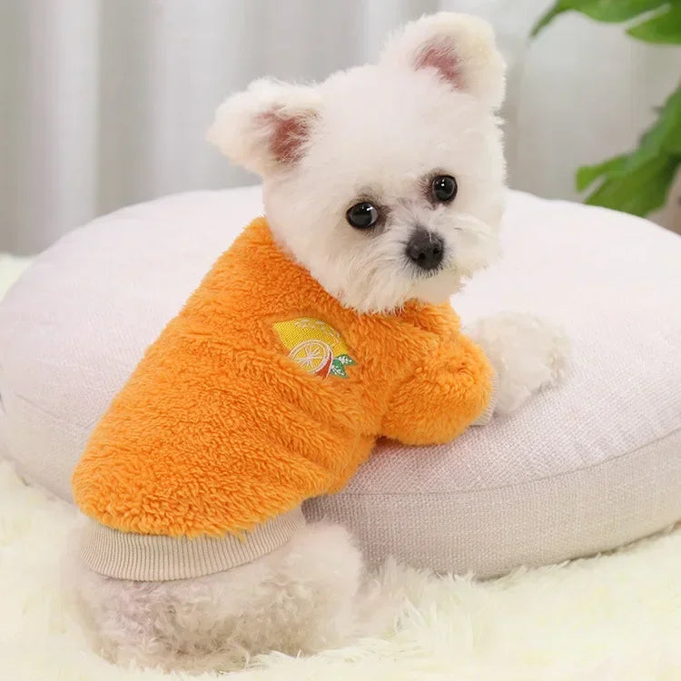 Dogs Cozy Hoodie Coat and Puppy Outfit