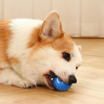 Smart Interactive Dog Toy