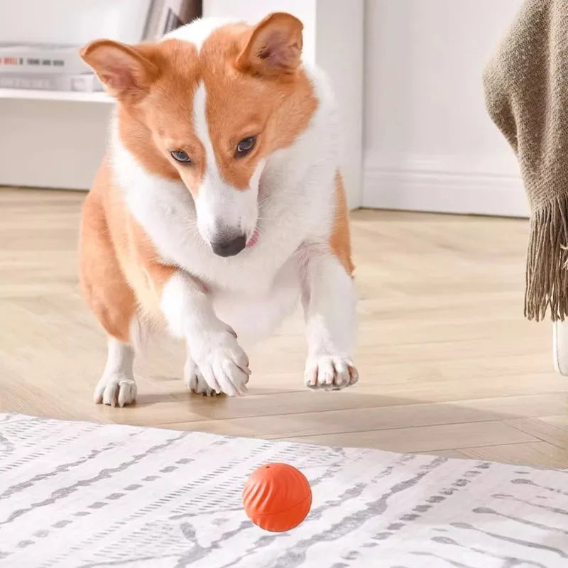 Smart Interactive Dog Toy