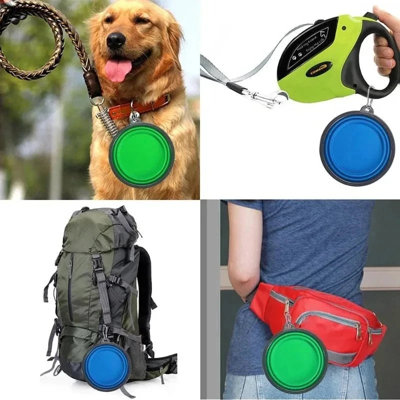 Collapsible Travel Pet Bowl