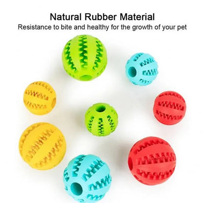 Ball Chew Toy for Small and Large Pets