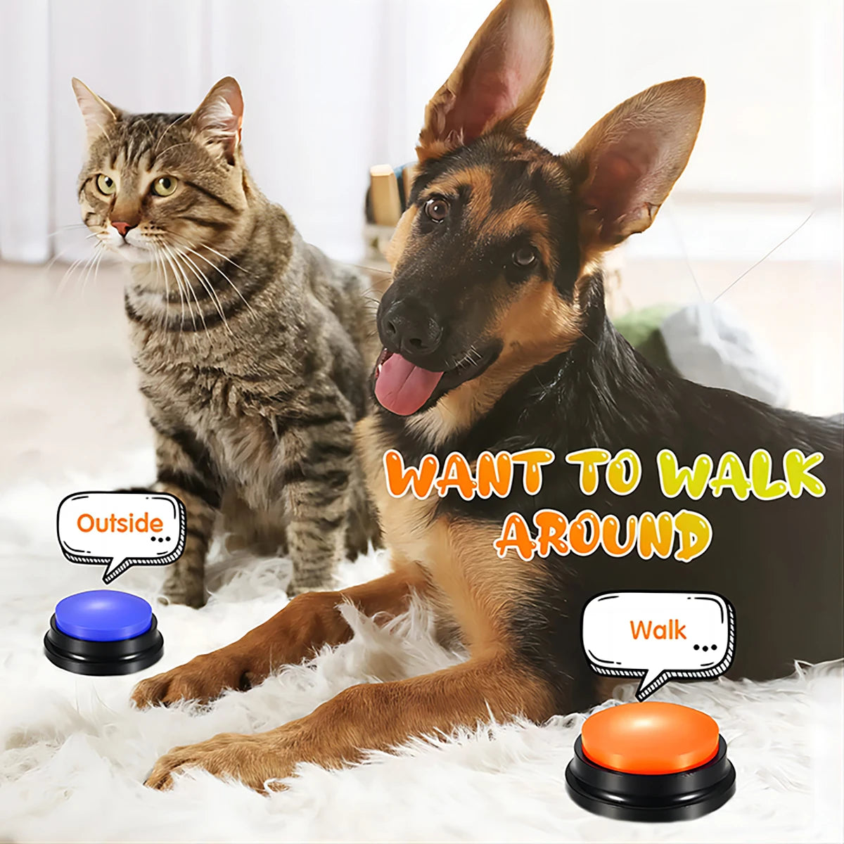 Pet Recordable Talking Buttons