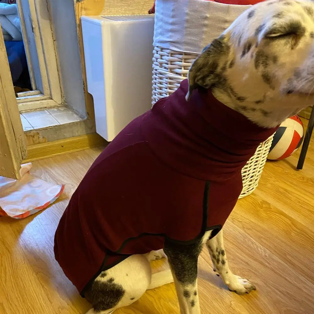 Dogs Warm Jumper Coat