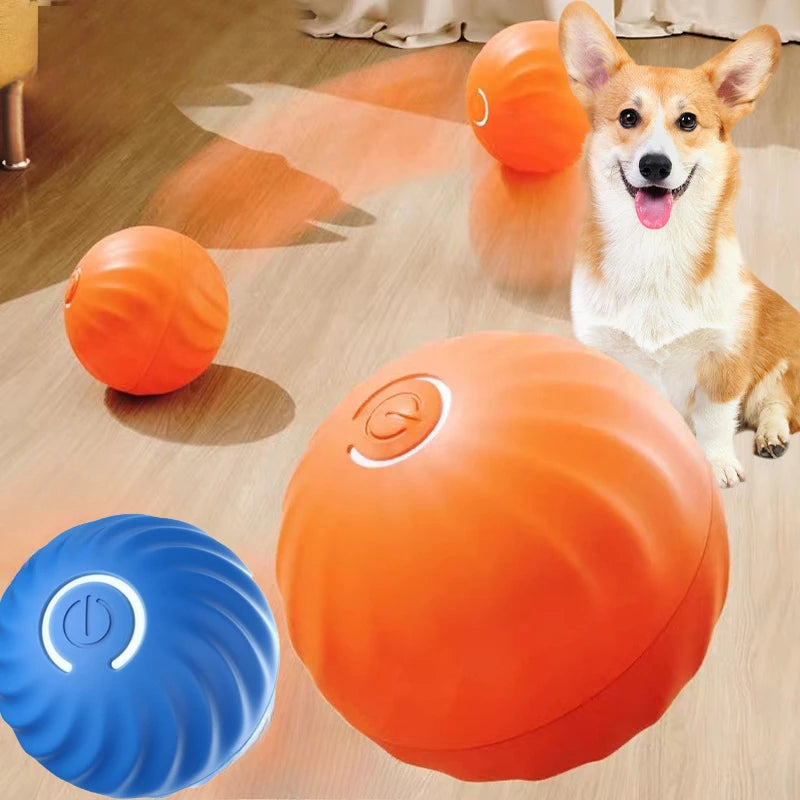 Smart Interactive Dog Toy