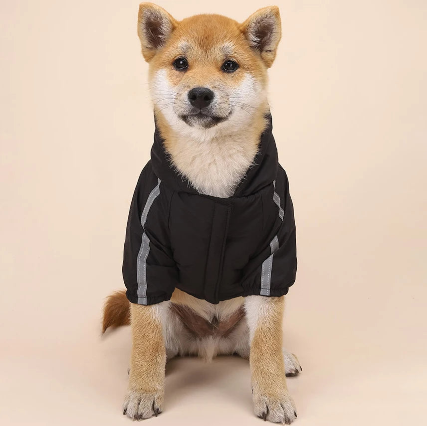 Autumn Reflective Hoodie for Pets