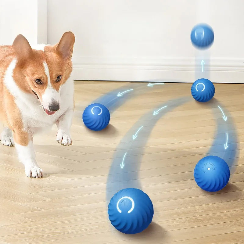 Smart Interactive Dog Toy