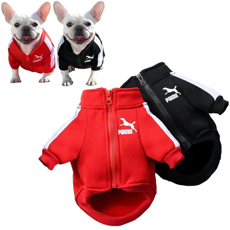 French Bulldog Sweatshirt and  Coat