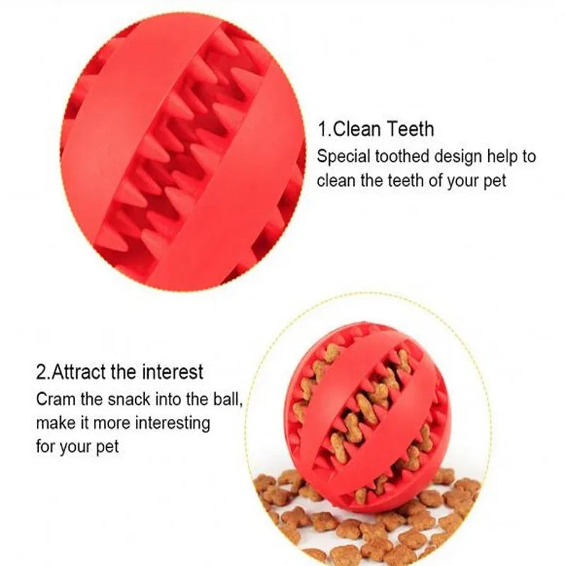 Ball Chew Toy for Small and Large Pets