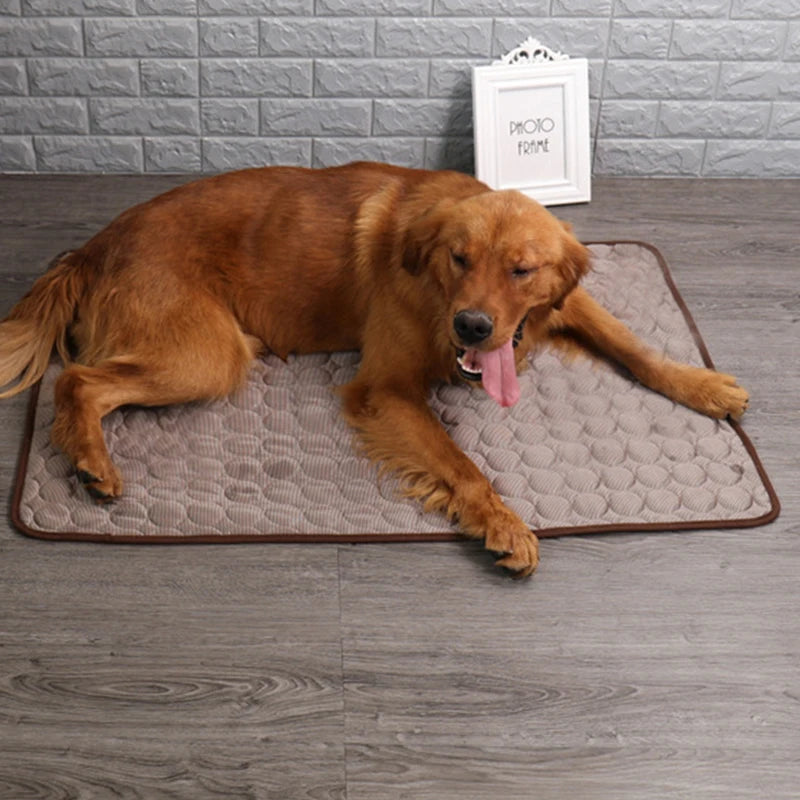 Pet Ice Silk Comfort Mat