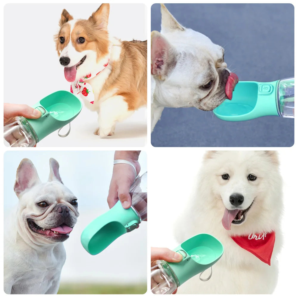 AquaPuPHaven™ Pet Water bottel