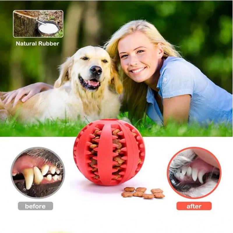 Ball Chew Toy for Small and Large Pets