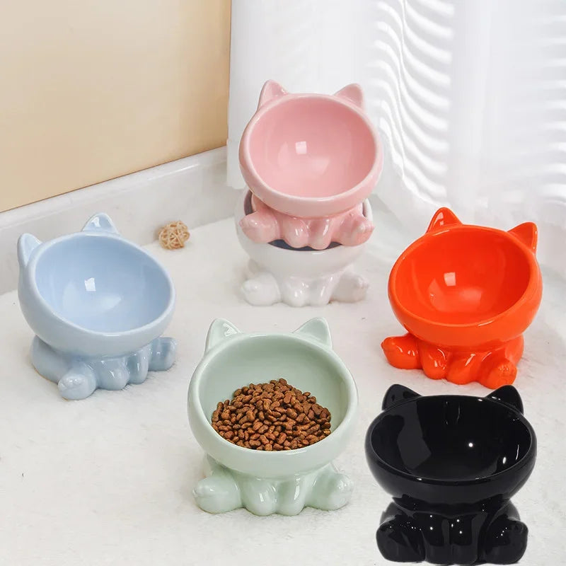 Ceramic Elevated Cat &amp; Dog Bowl