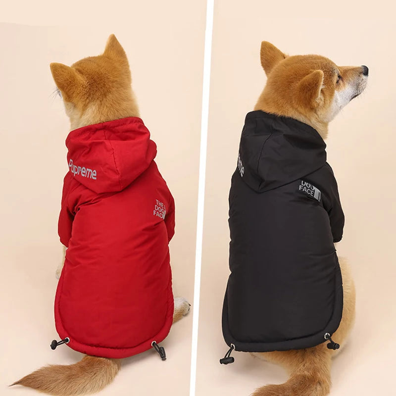 Autumn Reflective Hoodie for Pets