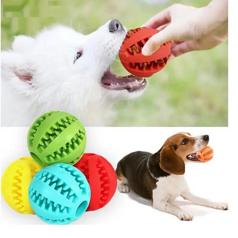 Ball Chew Toy for Small and Large Pets