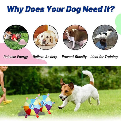 Dog Interactive Soccer Ball